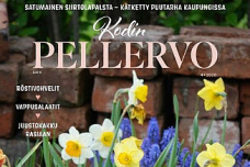 KODIN PELLERVO